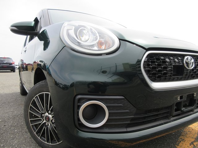 17 Passo(133)green-11