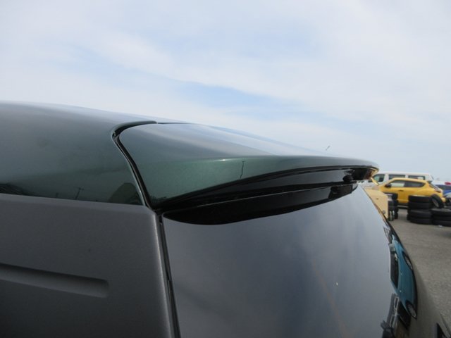 17 Passo(133)green-13