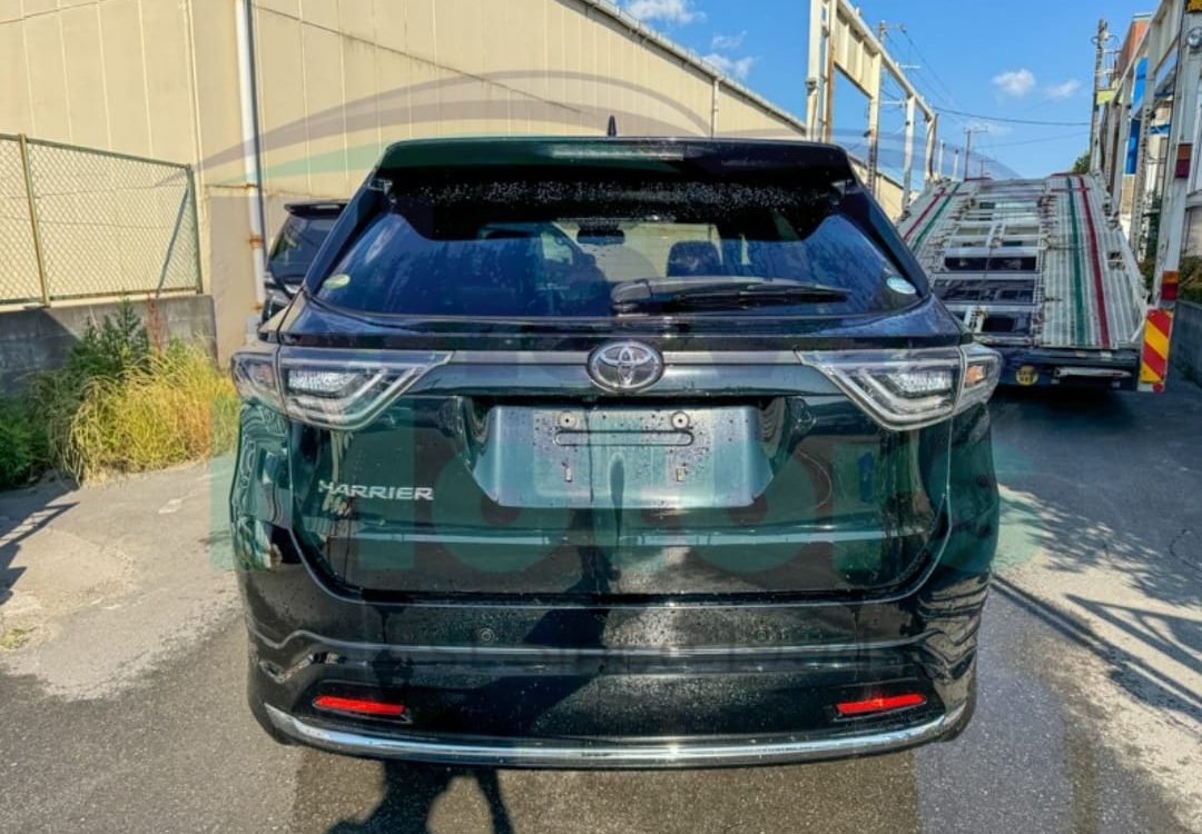 WhatsApp Image 2024-06-06 at 11.09.11 AM (1)