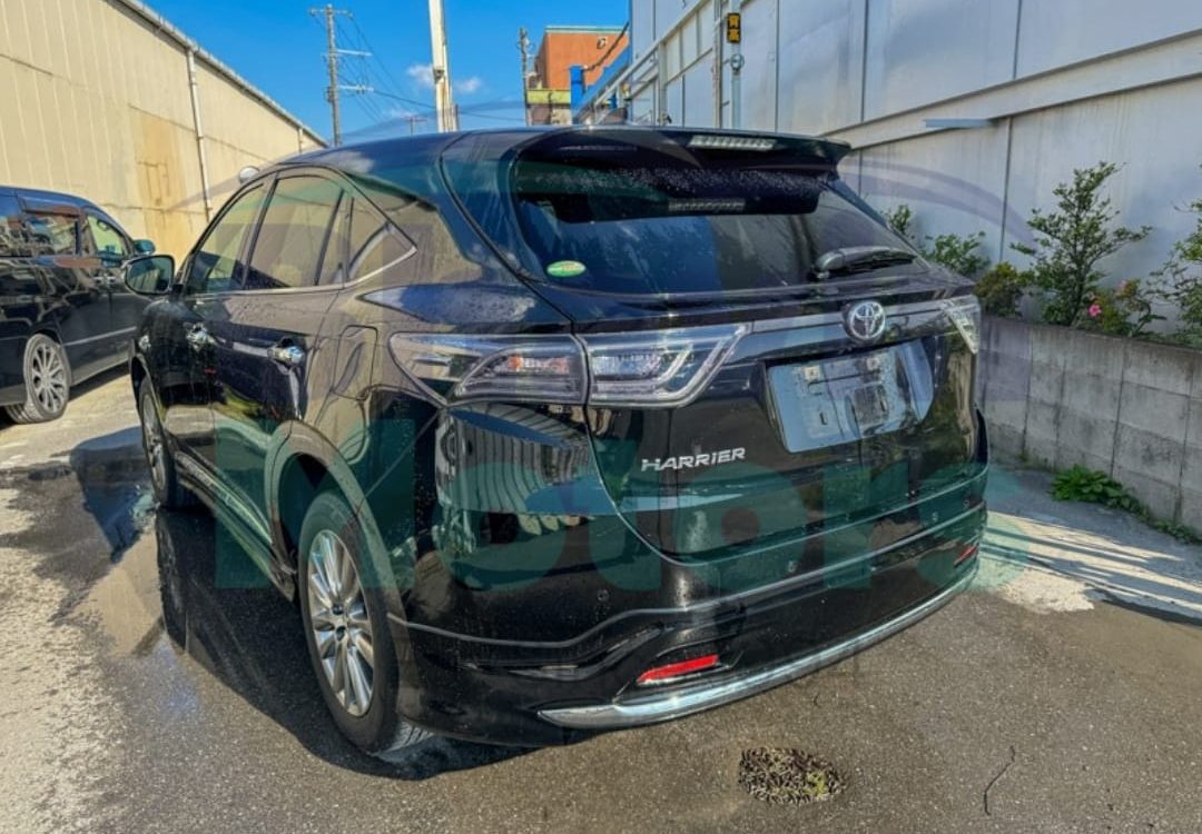 WhatsApp Image 2024-06-06 at 11.09.19 AM