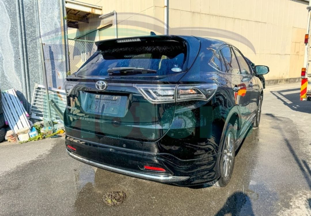 WhatsApp Image 2024-06-06 at 11.09.20 AM