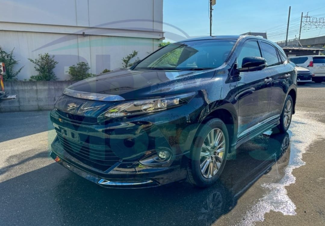 WhatsApp Image 2024-06-06 at 11.09.21 AM (1)