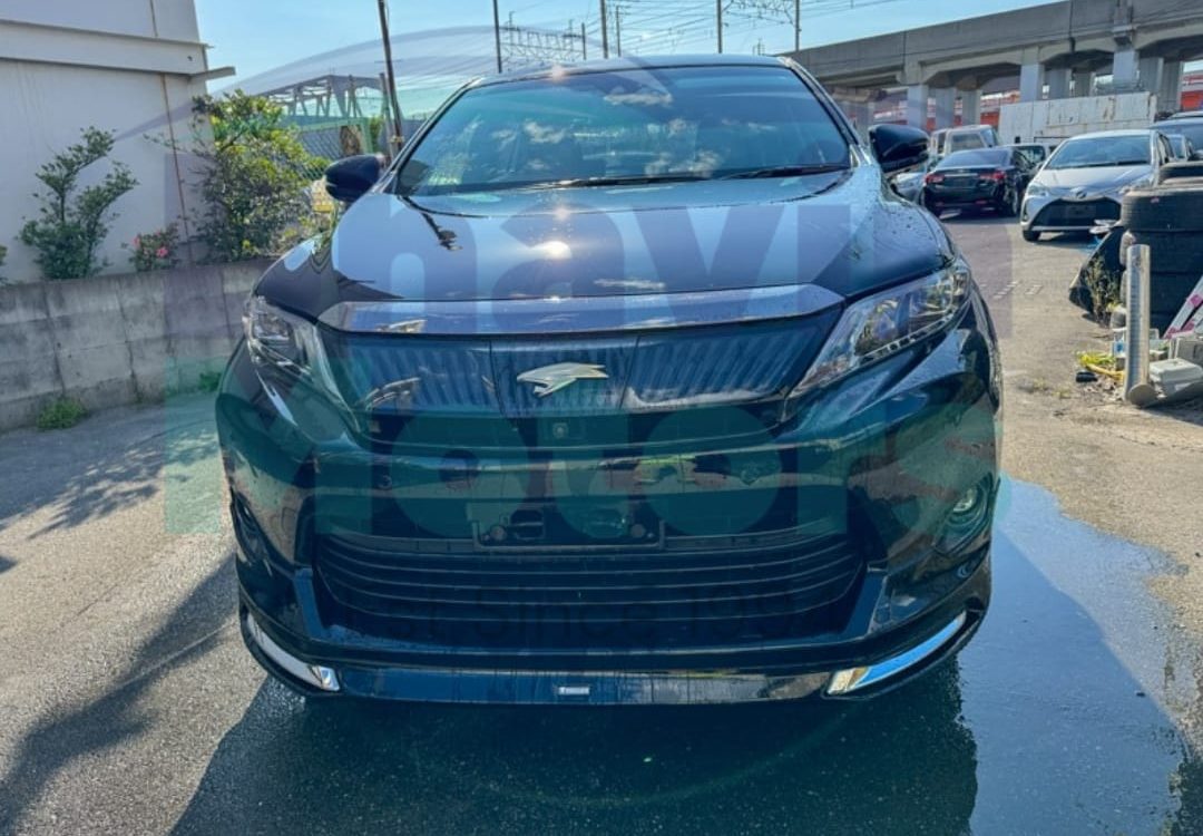 WhatsApp Image 2024-06-06 at 11.09.22 AM (1)