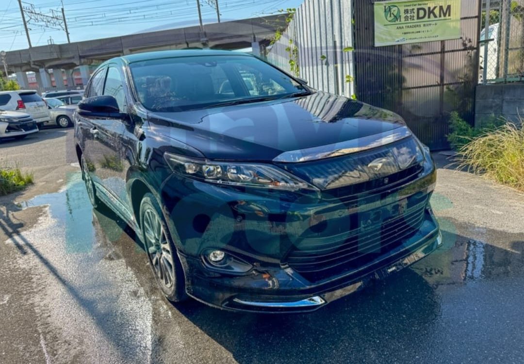 WhatsApp Image 2024-06-06 at 11.09.22 AM