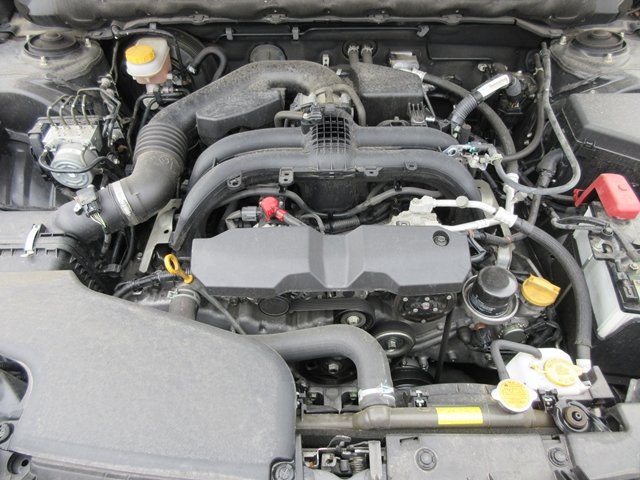 17 LegacyB4(309)grey-05