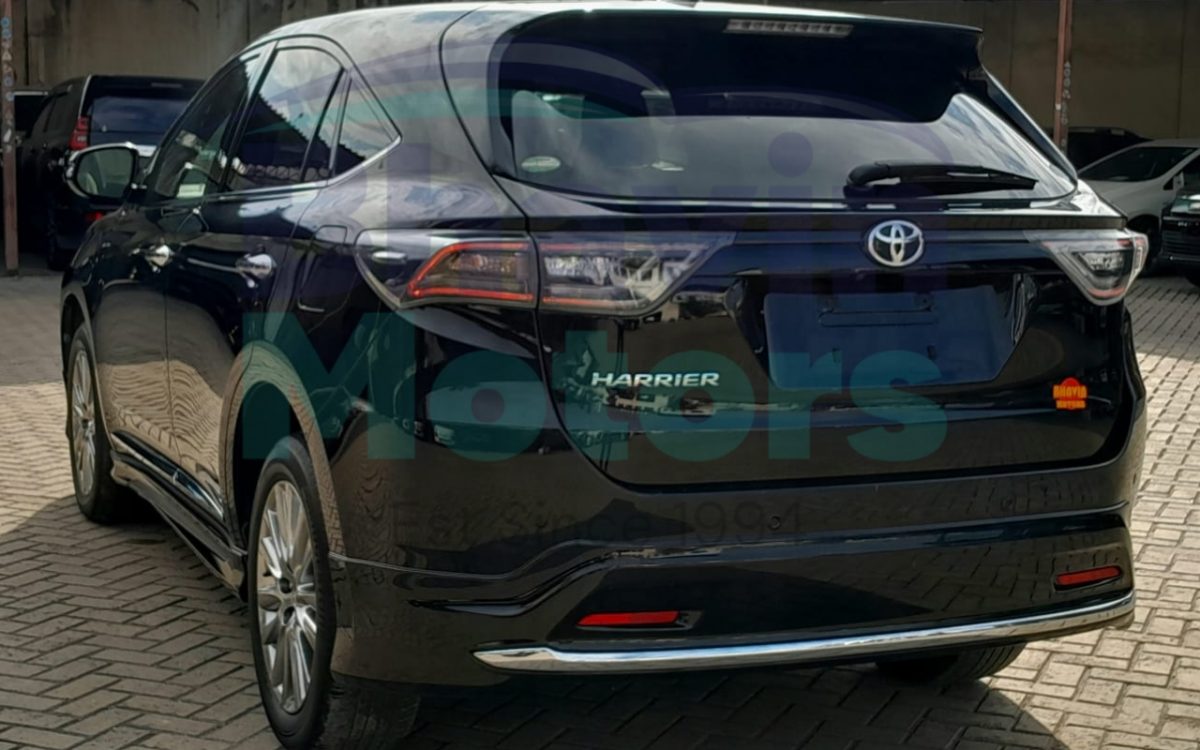 GridArt_20240805_100332314