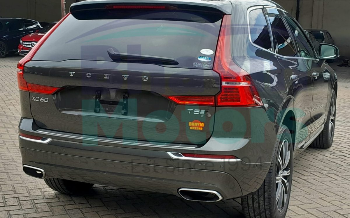 GridArt_20240805_163936329