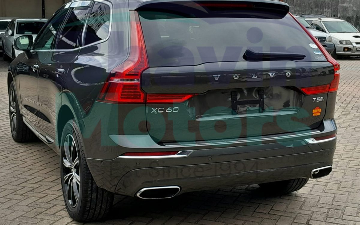 GridArt_20240805_163956454