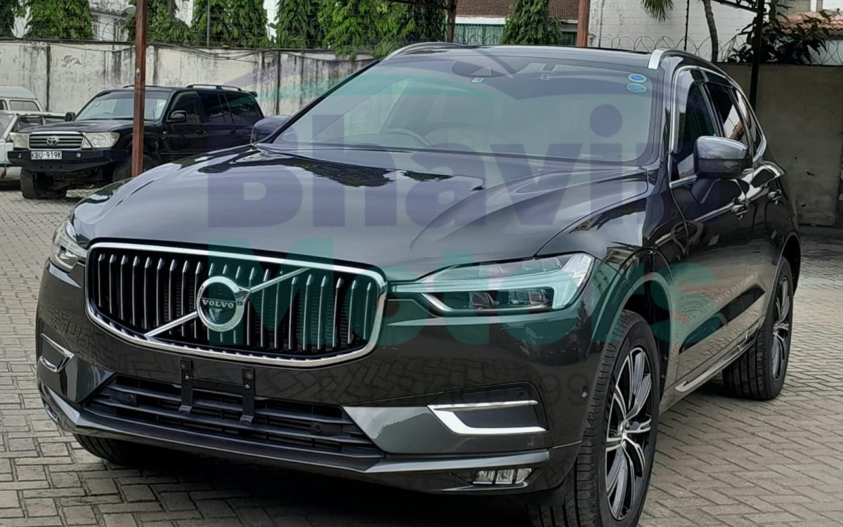 GridArt_20240805_164108140