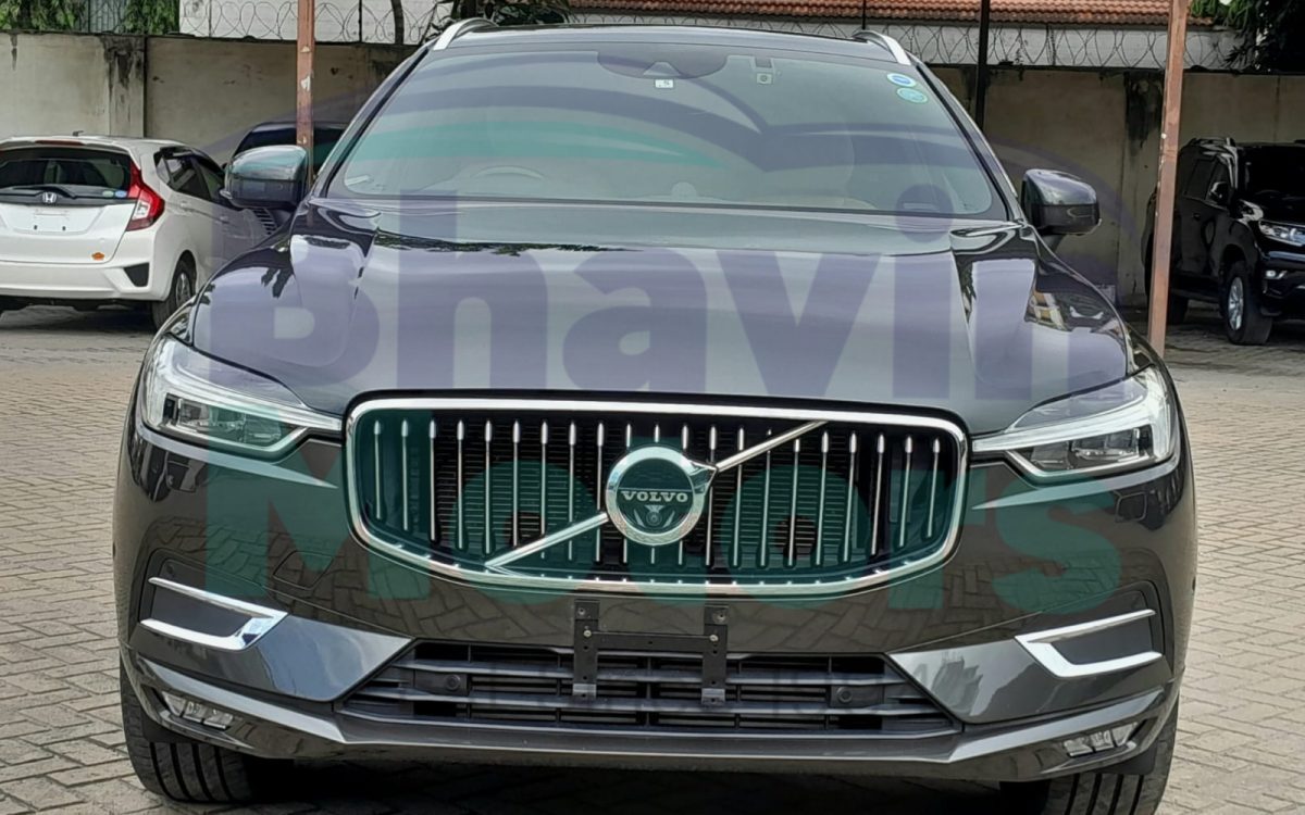 GridArt_20240805_164134438