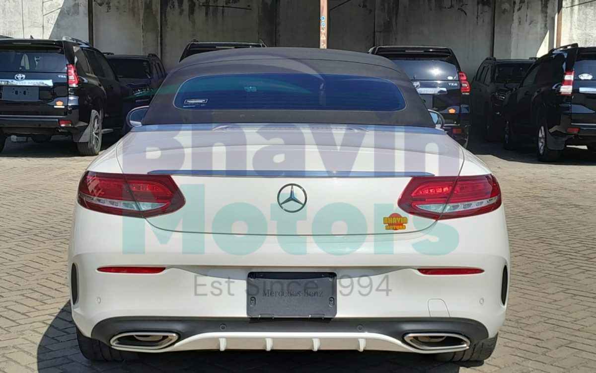 GridArt_20240809_125027991