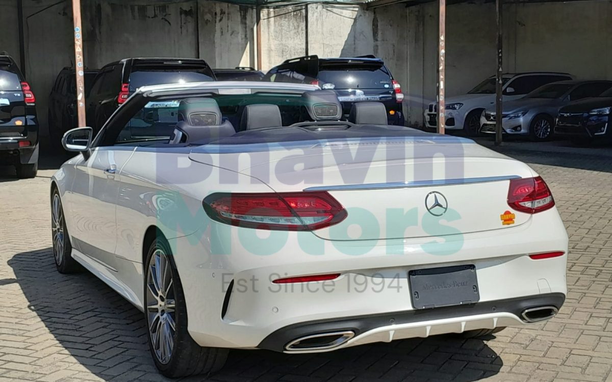 GridArt_20240809_125110169