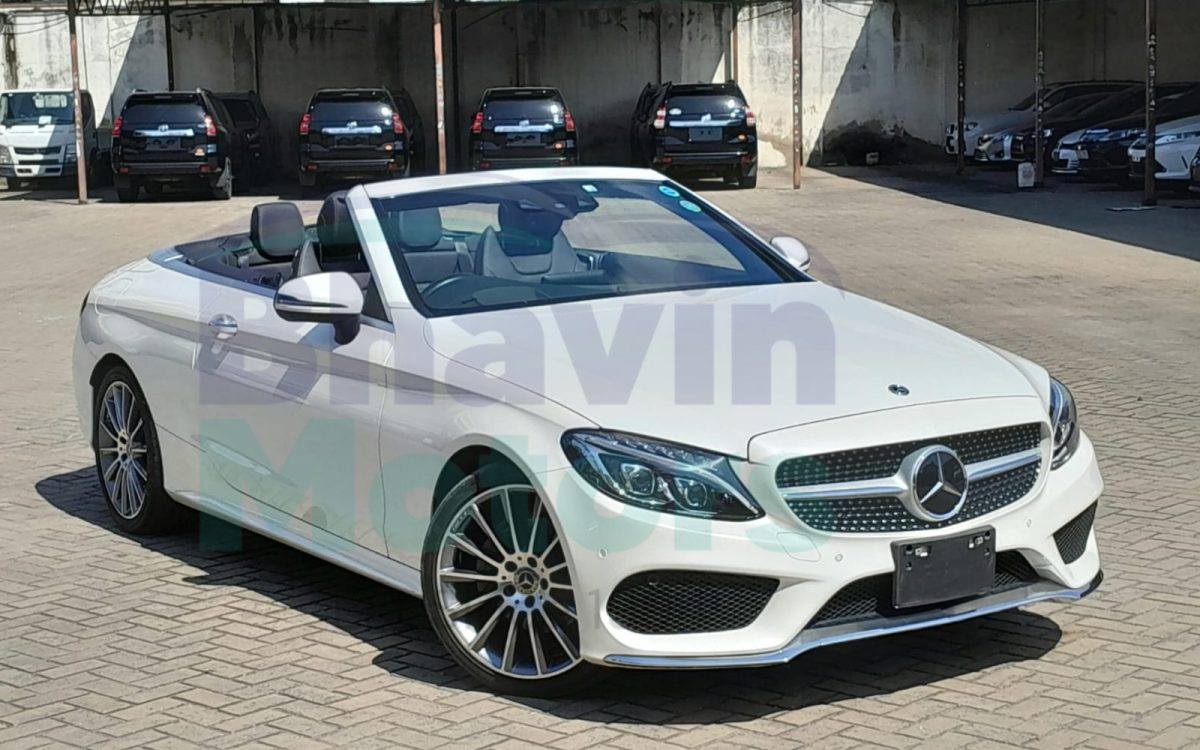 GridArt_20240809_125130099