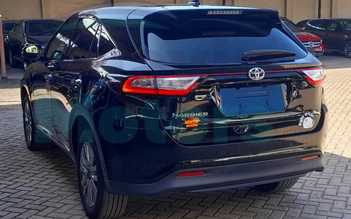 GridArt_20240815_144152291