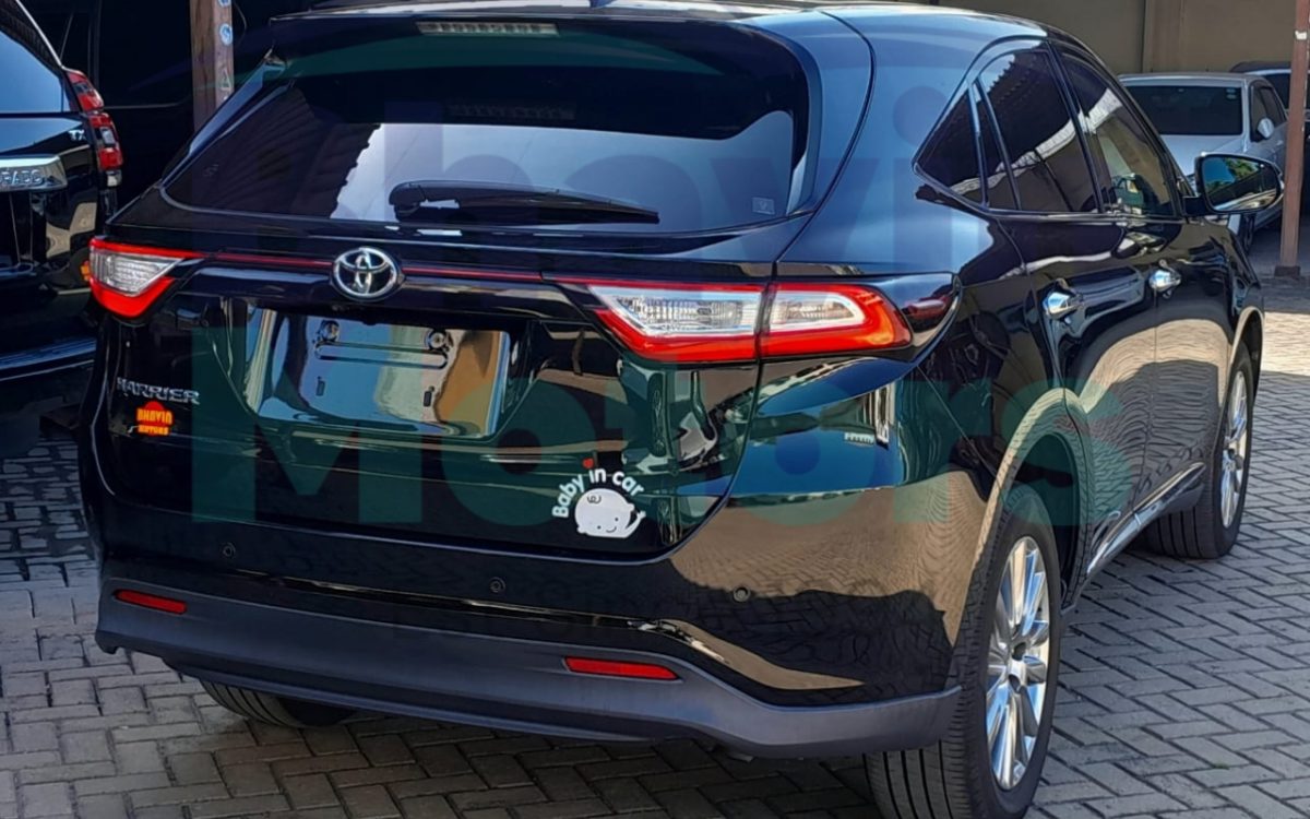 GridArt_20240815_144206374