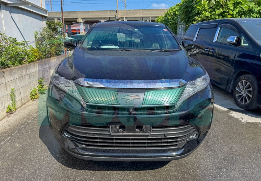 GridArt_20240903_150732295