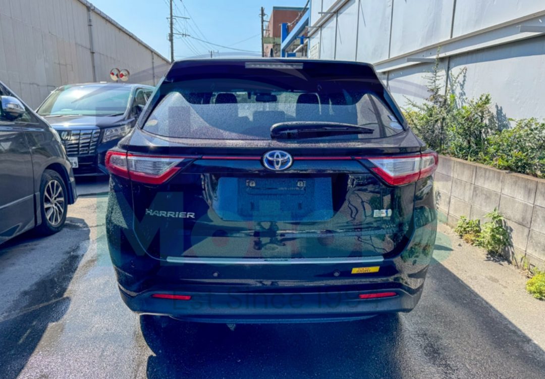 GridArt_20240903_150835393