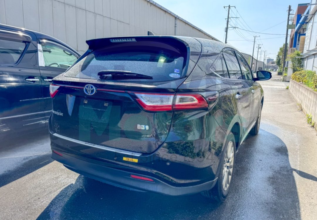 GridArt_20240903_151039486