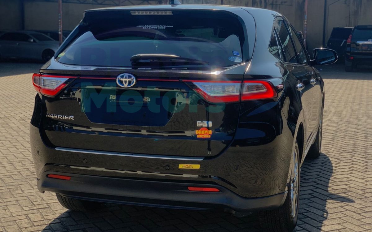 GridArt_20241022_151024422