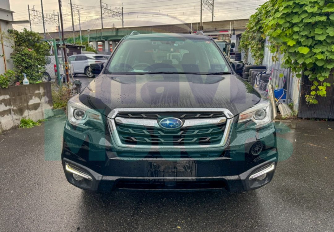 GridArt_20241030_143829160