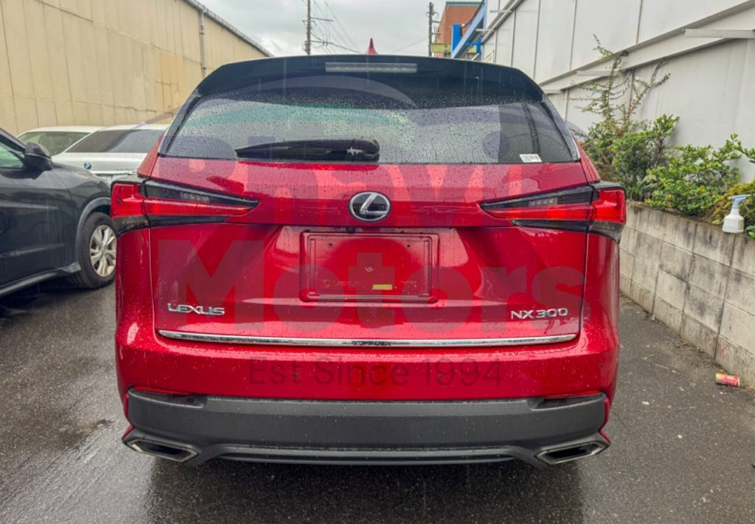 GridArt_20241031_103357666