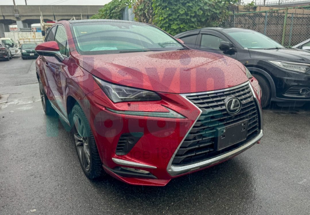 GridArt_20241031_103415788