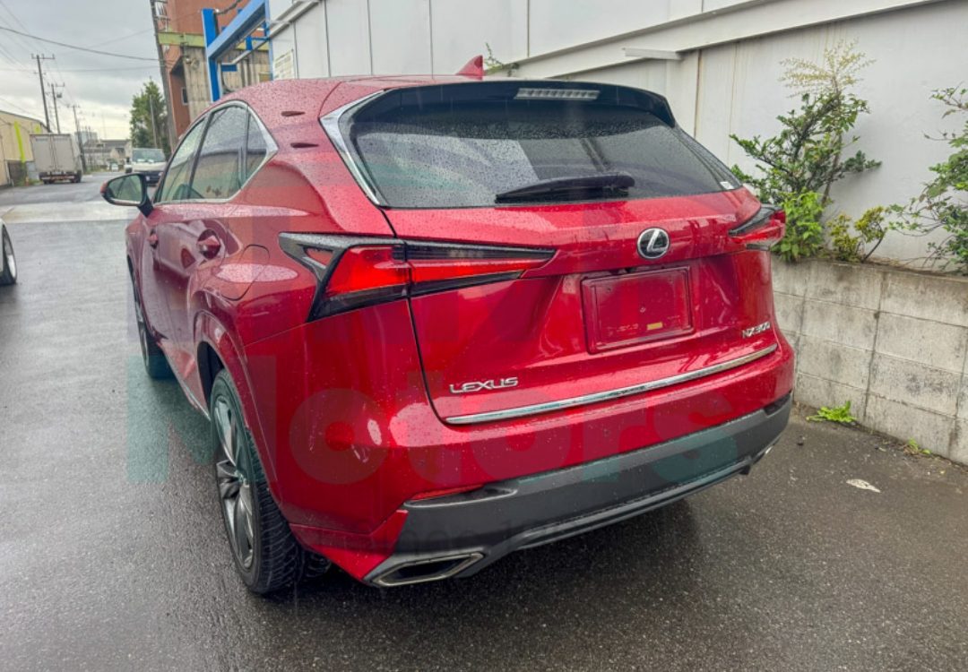 GridArt_20241031_103436754