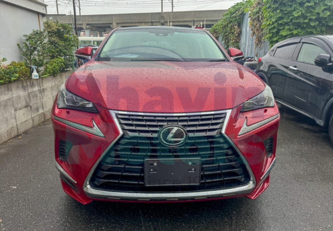 GridArt_20241031_103458759