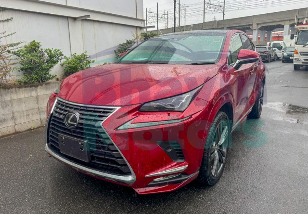 GridArt_20241031_103521638