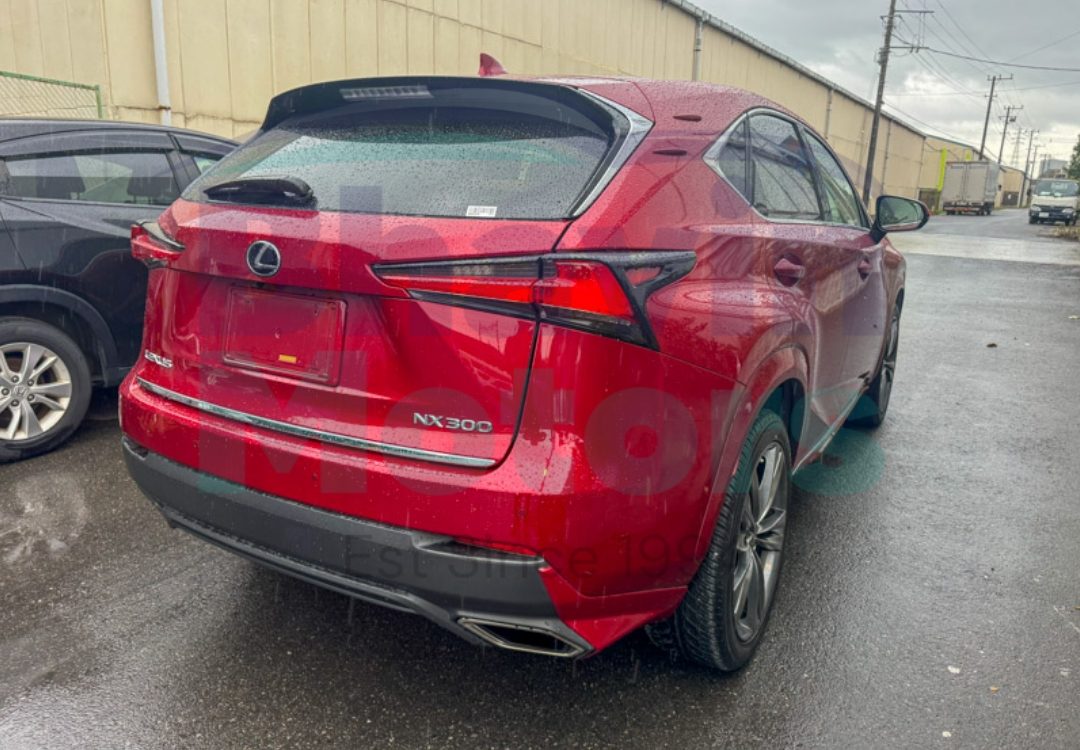 GridArt_20241031_103536858