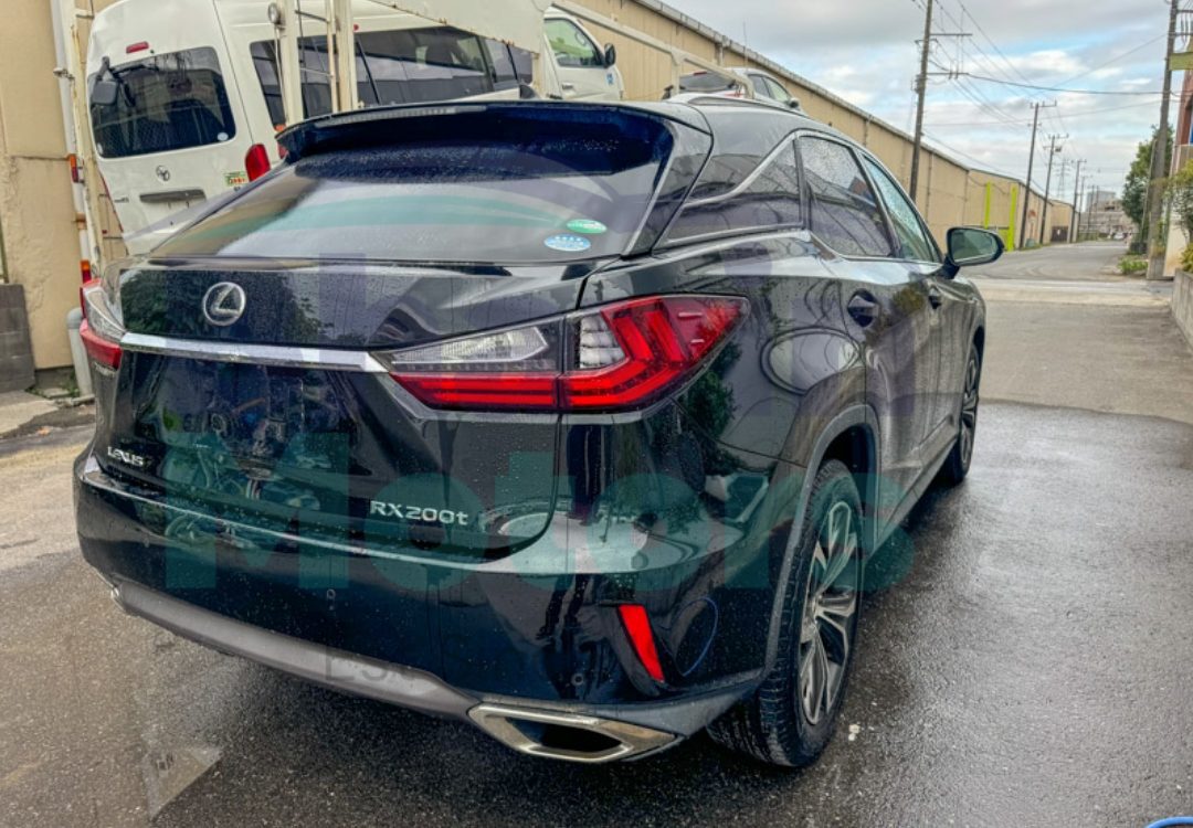 GridArt_20241031_104442029