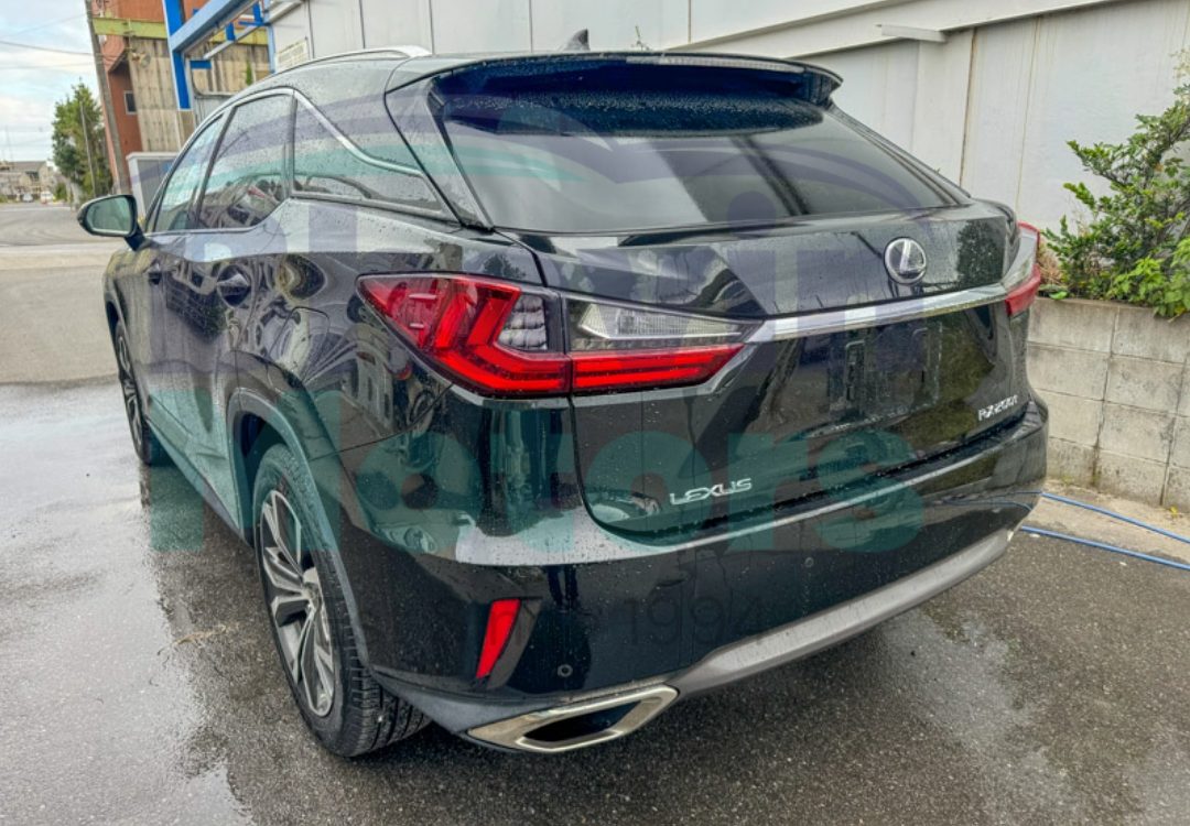 GridArt_20241031_104522758