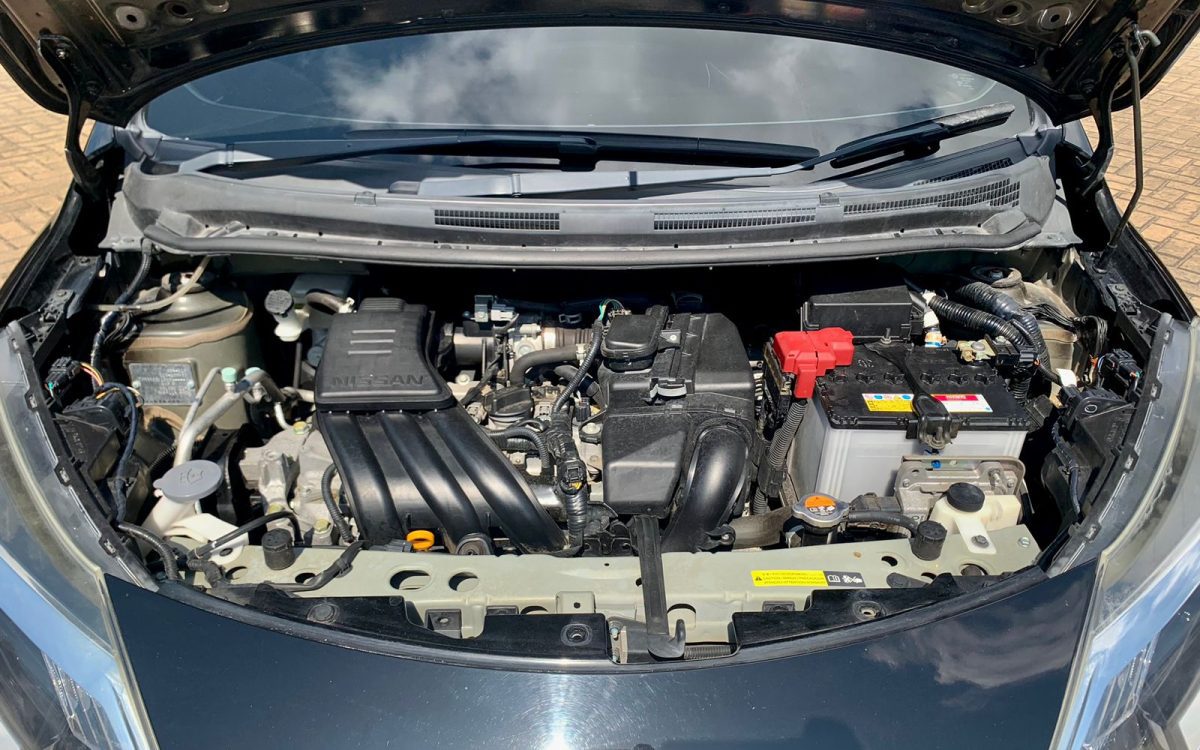 IMG-20241016-WA0249 (1)