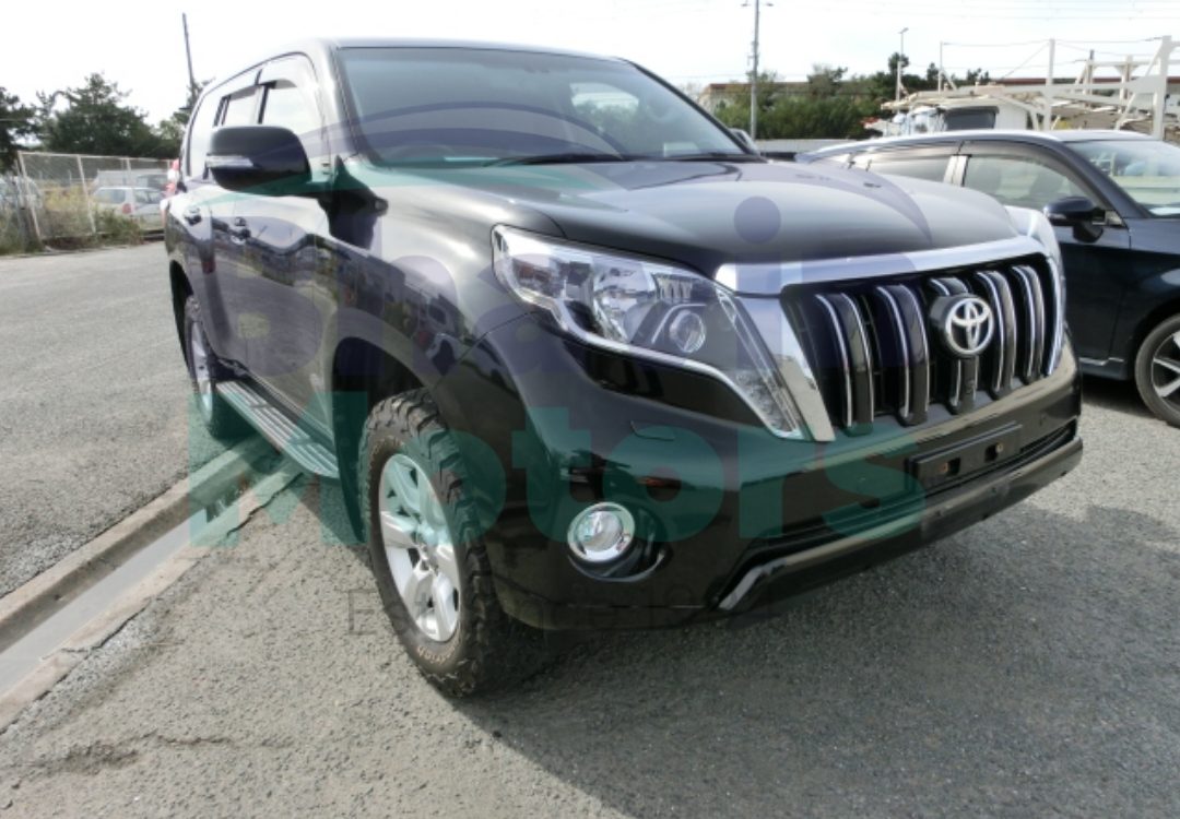 GridArt_20241104_090143620