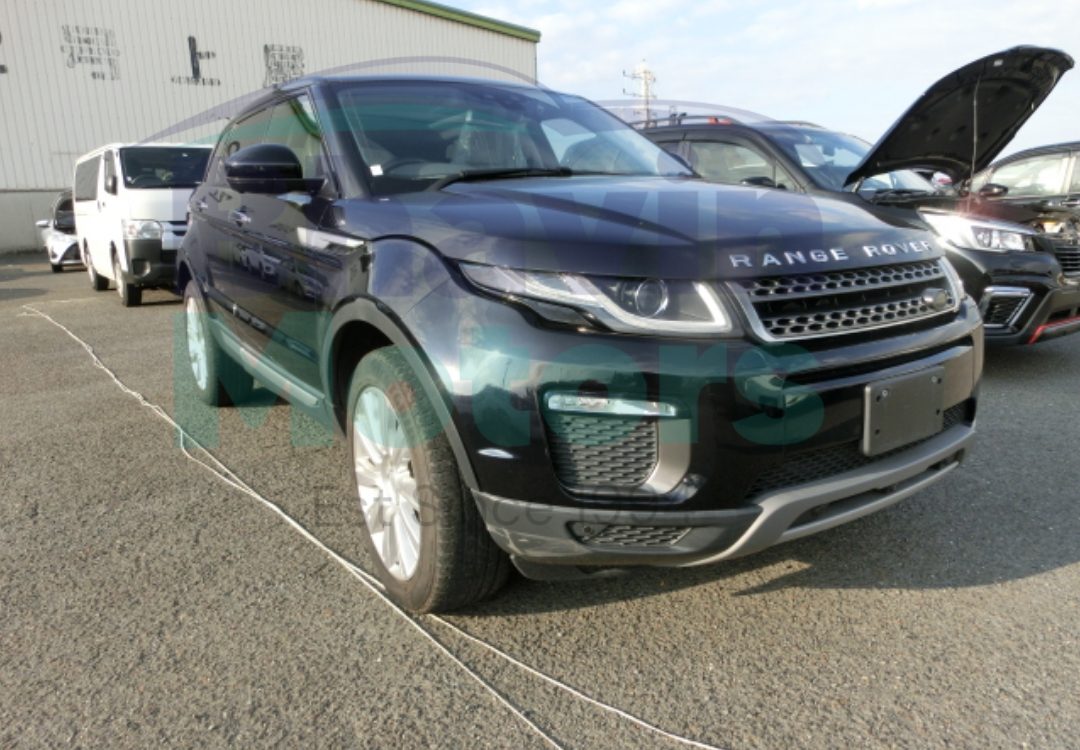 GridArt_20241107_100148906