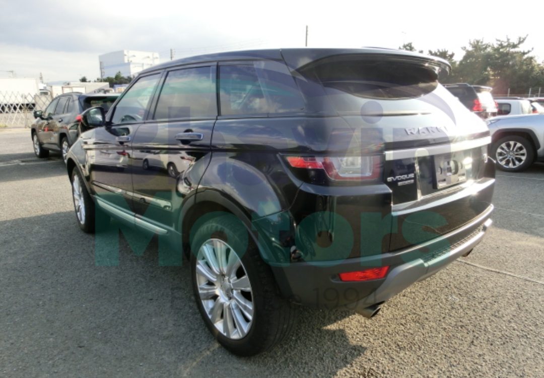 GridArt_20241107_100204854