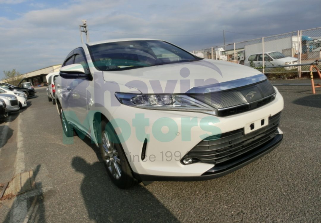 GridArt_20241107_132006495