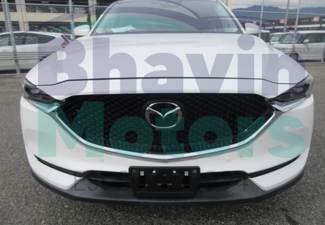 GridArt_20241120_141503803