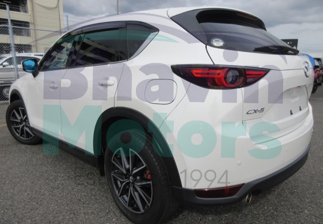 GridArt_20241120_141607590