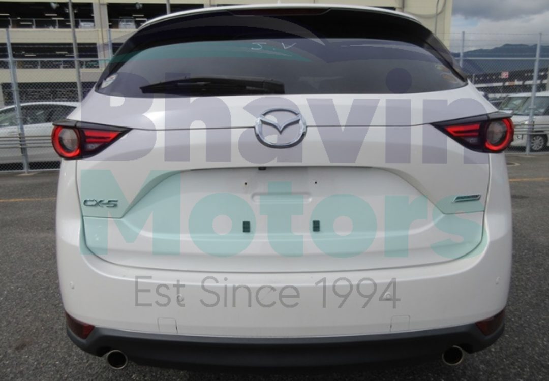 GridArt_20241120_141629542