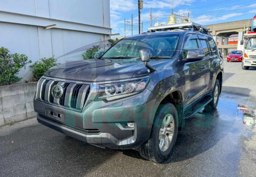 GridArt_20241120_153326216