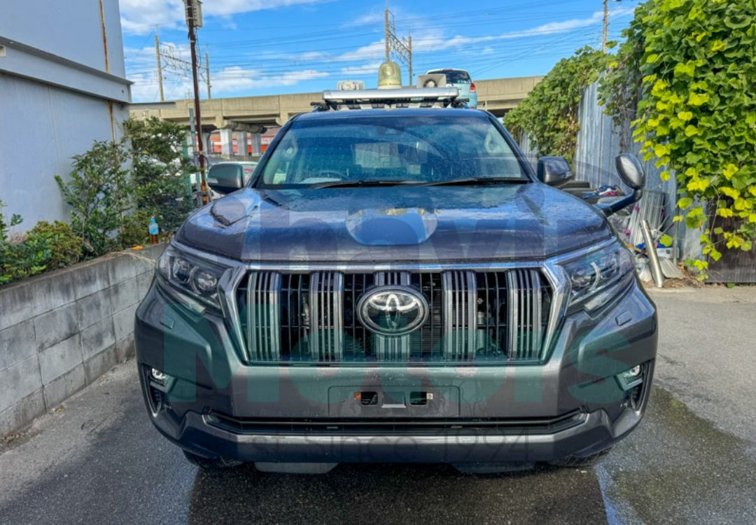 GridArt_20241120_153418816