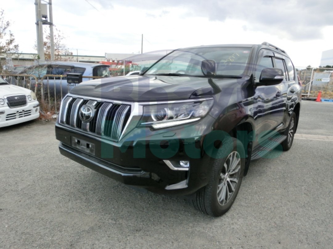 GridArt_20241214_095522240