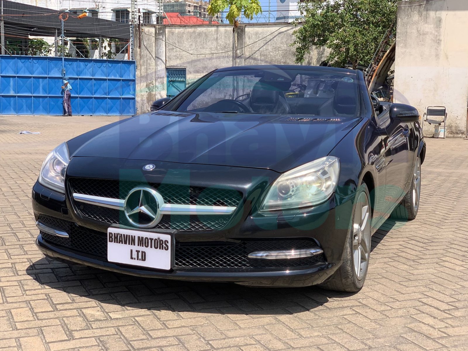 GridArt_20250113_073207312