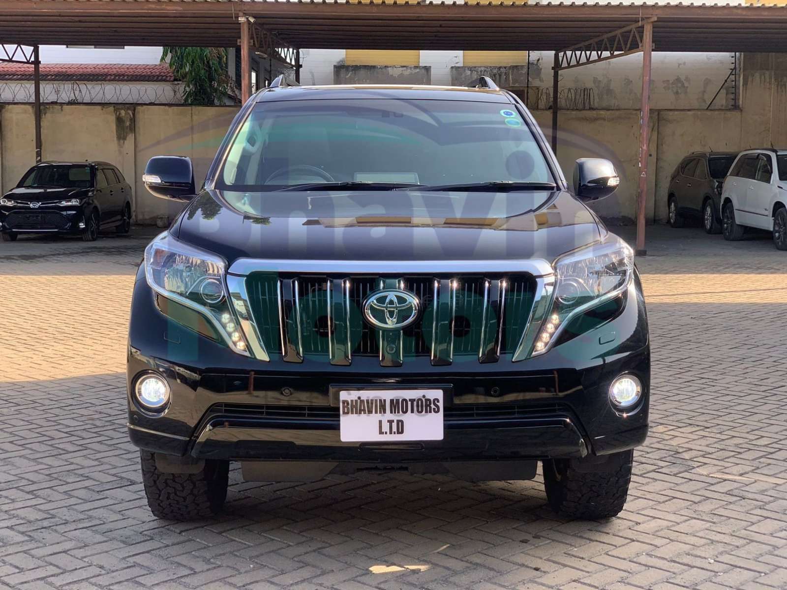 GridArt_20250113_080950699