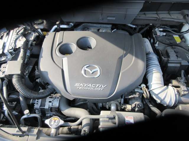 18 CX-5(089)pearl-05