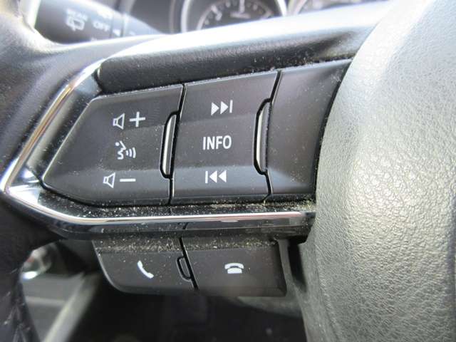 18 CX-5(089)pearl-24