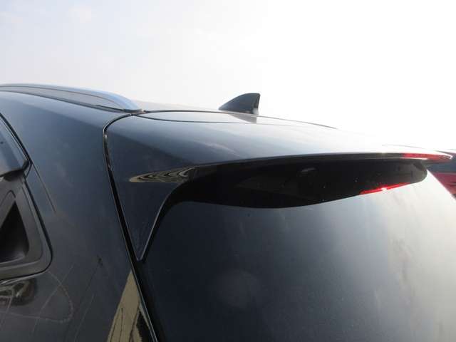 18 Vezel(481)black-13