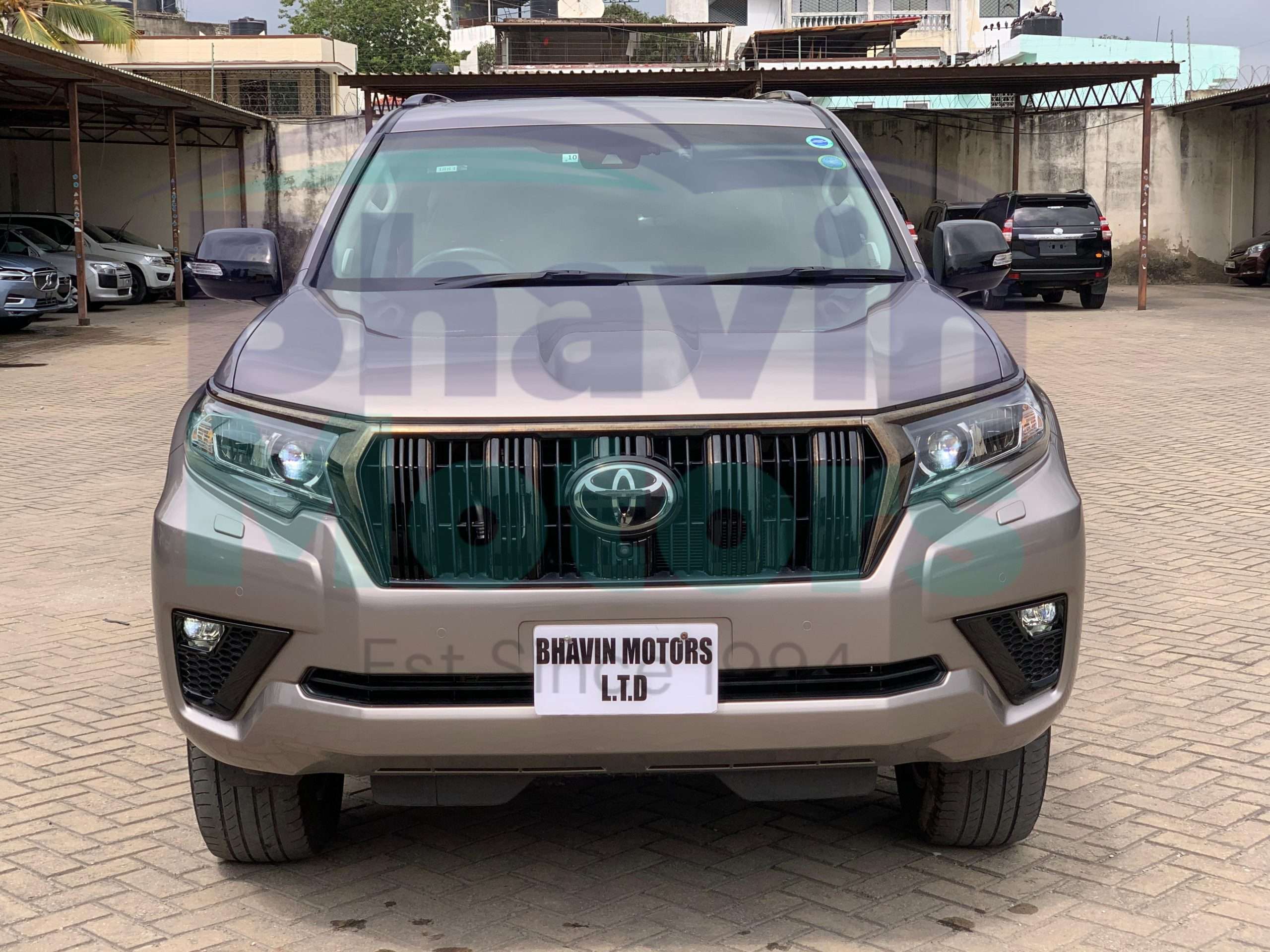 GridArt_20250206_132911140