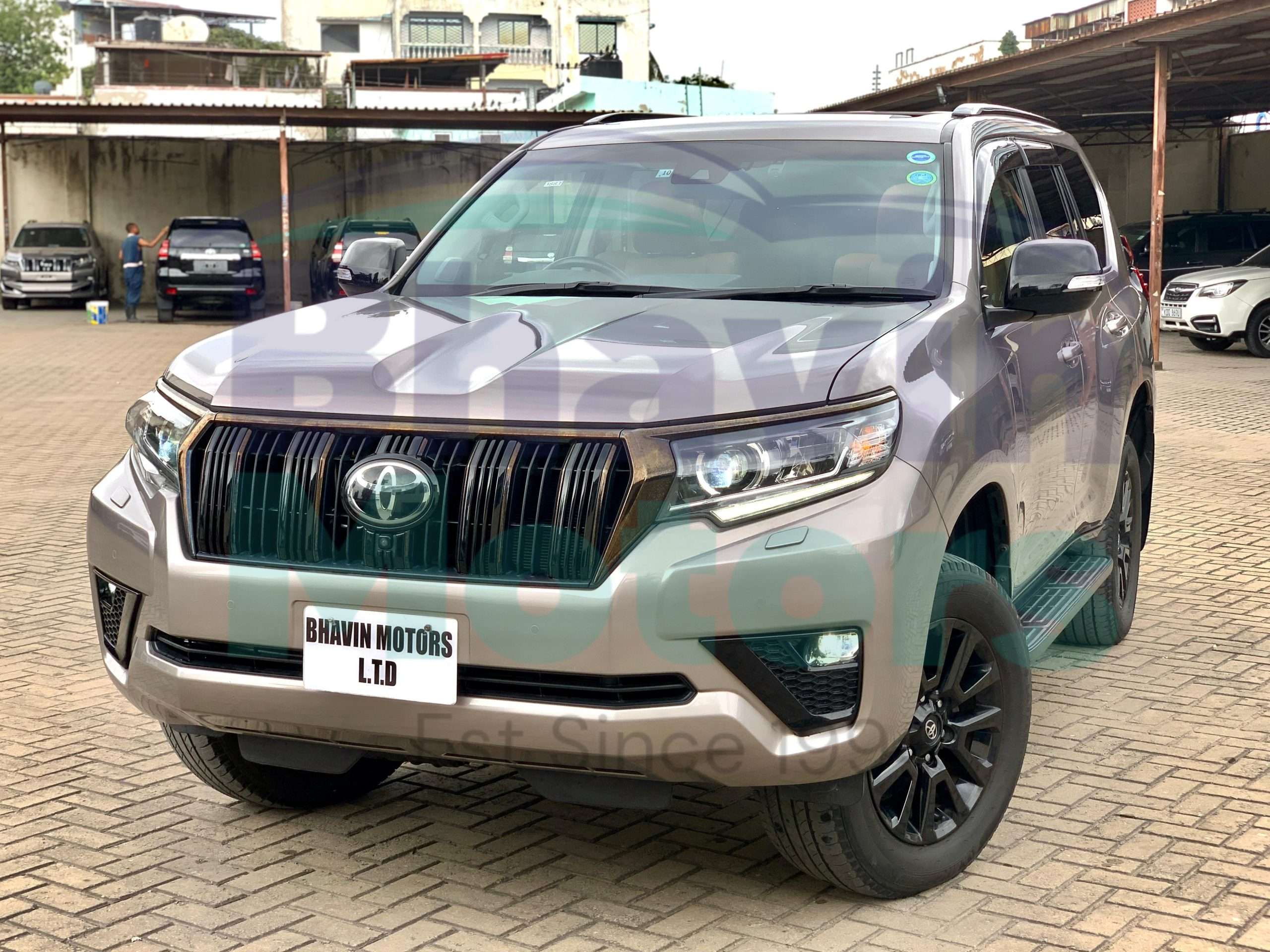 GridArt_20250206_133028190